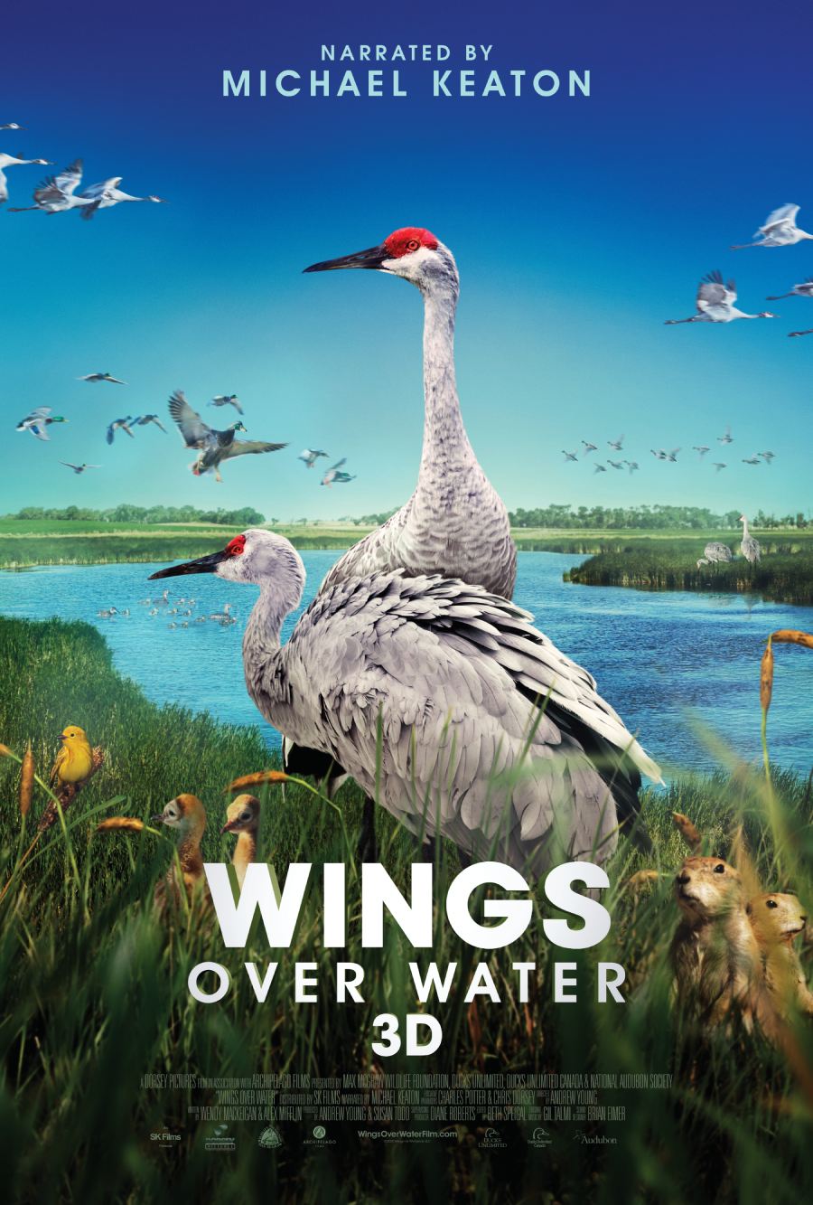 Wings Over Water About the Film